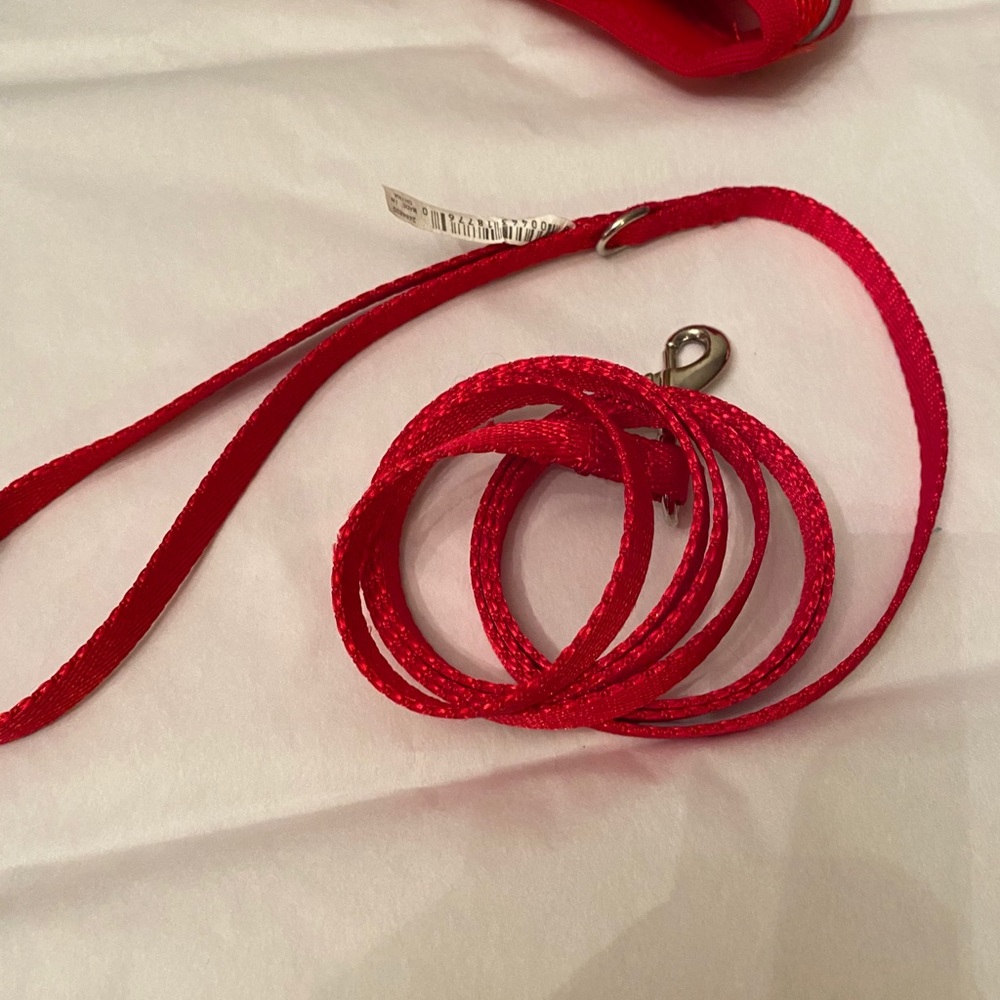Cat Leash in Red